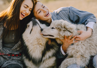 Stress-Free Snacking: Calming Peanut Butter for Dogs