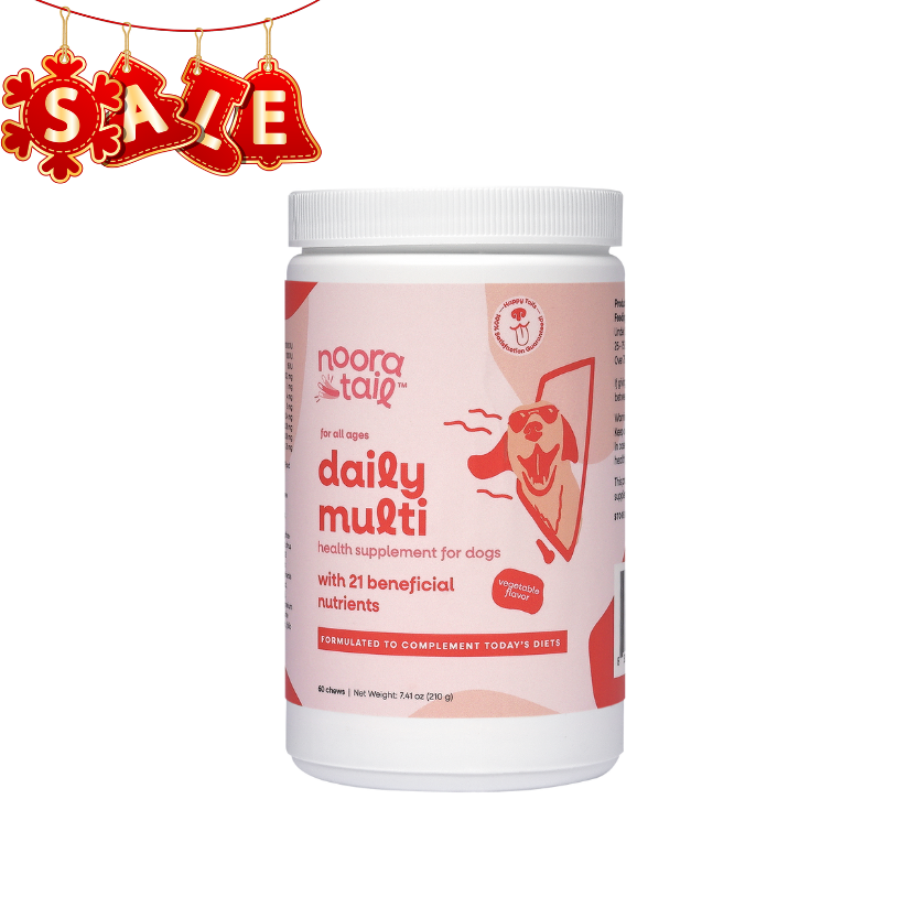 Noora Daily Multi with 21 Beneficial Nutrients